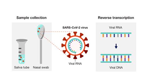 PCR Testing for COVID.